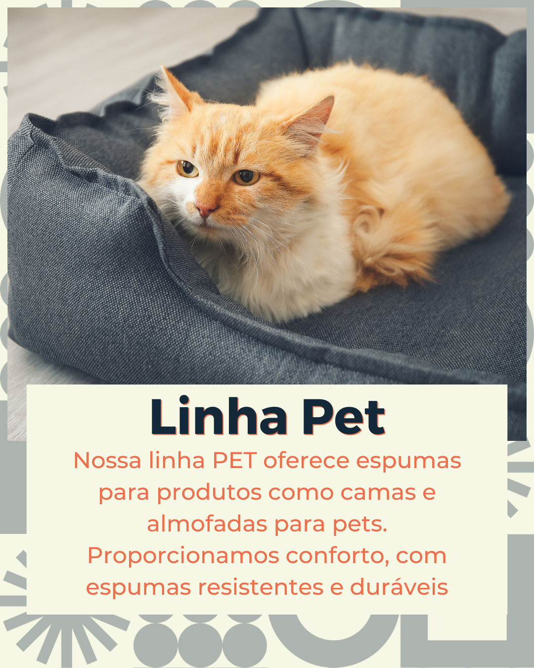 Polidomi_Espumas_Linha_Pet